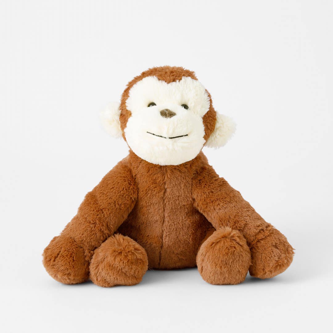 Benjamin Monkey