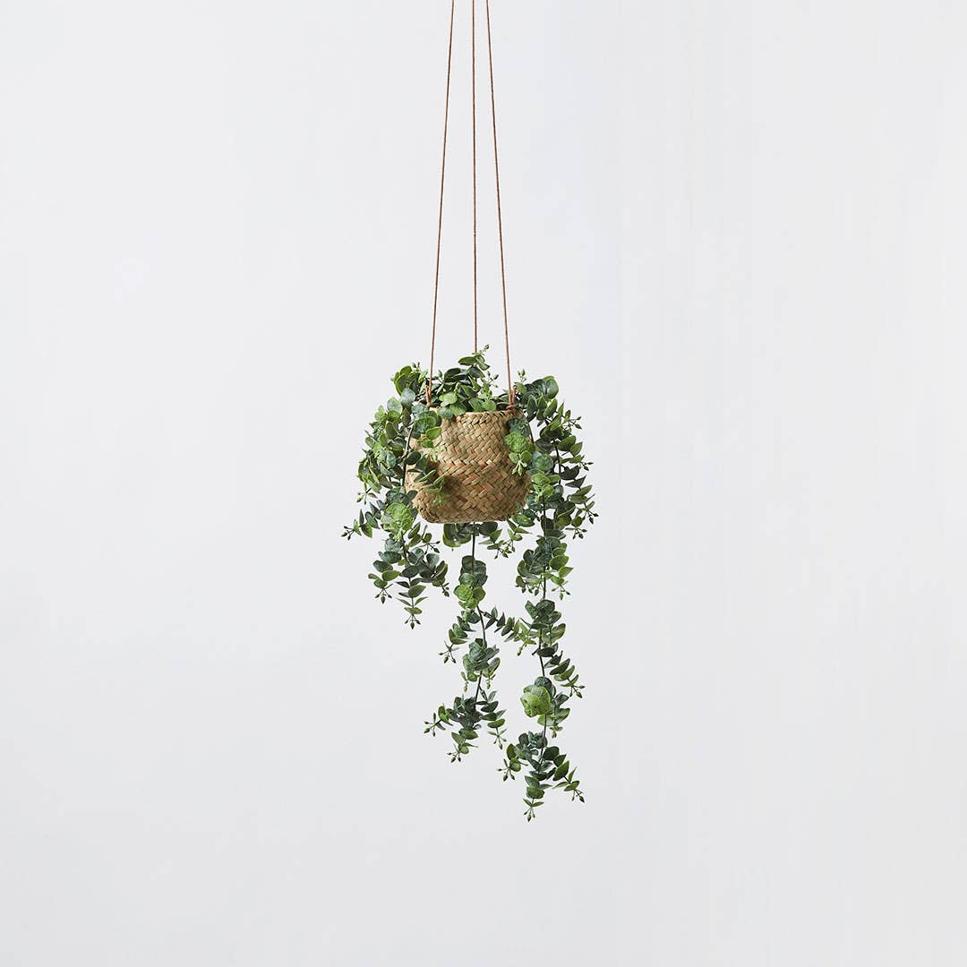 Trailing Gum Greenery In Basket