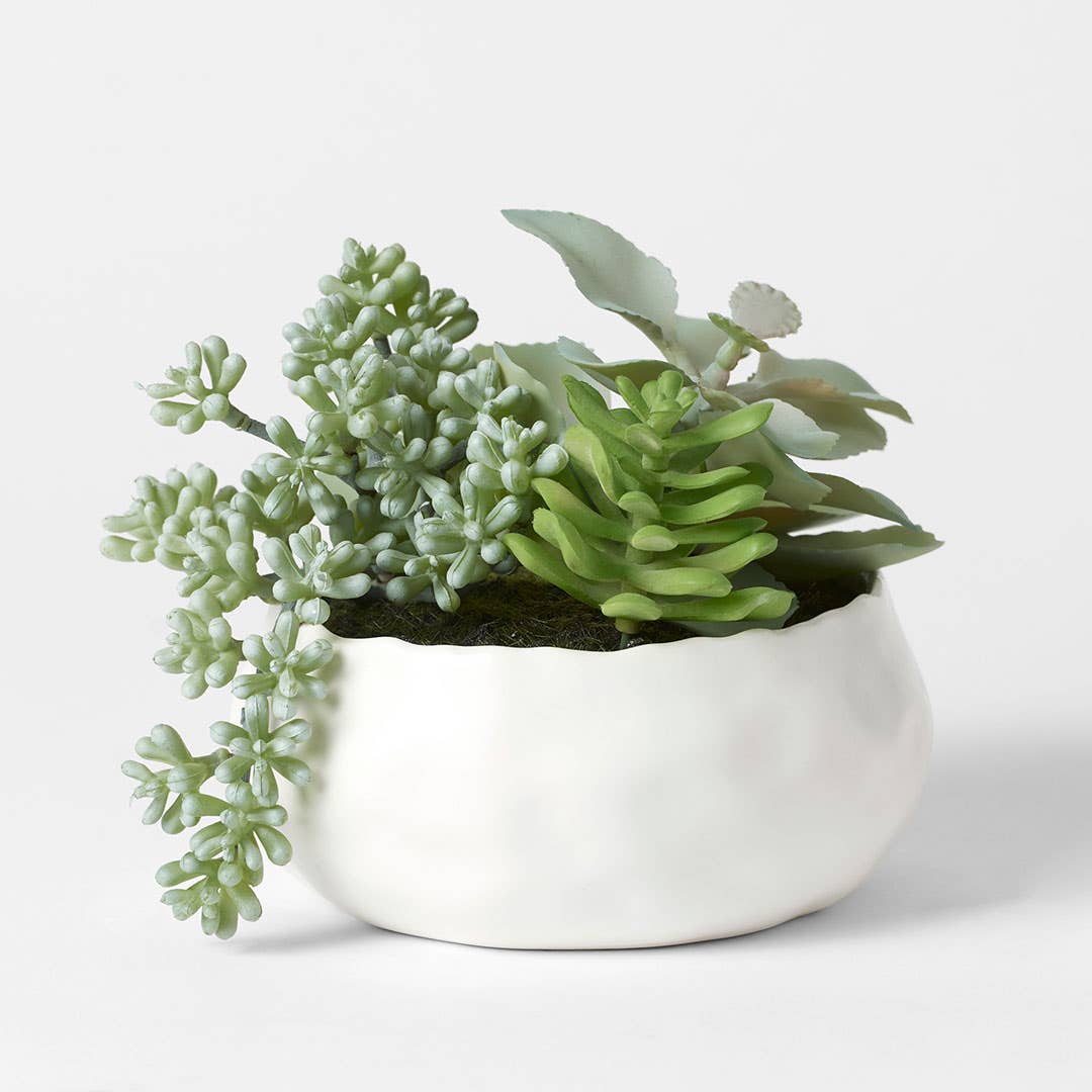 Succulent Garden Pot Large